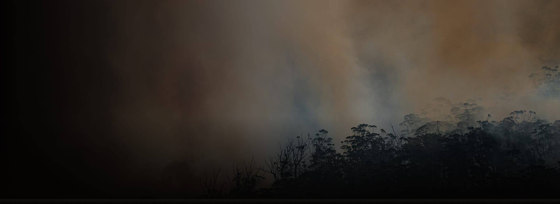 smoke visible over some plants. 
