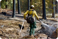 Firefighter in wildland gear walks through a burned forest carrying equipment, with charred ground and trees in the background.