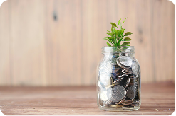 A jar full of coins, with a plant growing out of them, sitting on a wood surface and wood background