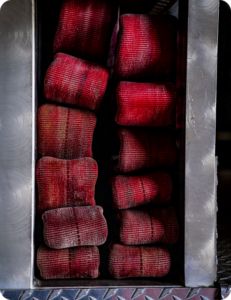 Rolled red fire hoses stored in a metal compartment on a fire truck