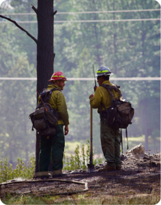 Two wildland firefighters consulting at a forest fire perimeter with hand tools and gear