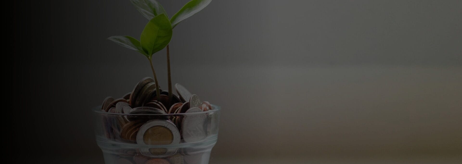 Cup filled with coins with a small green plant growing out of it, symbolizing savings and growth.

