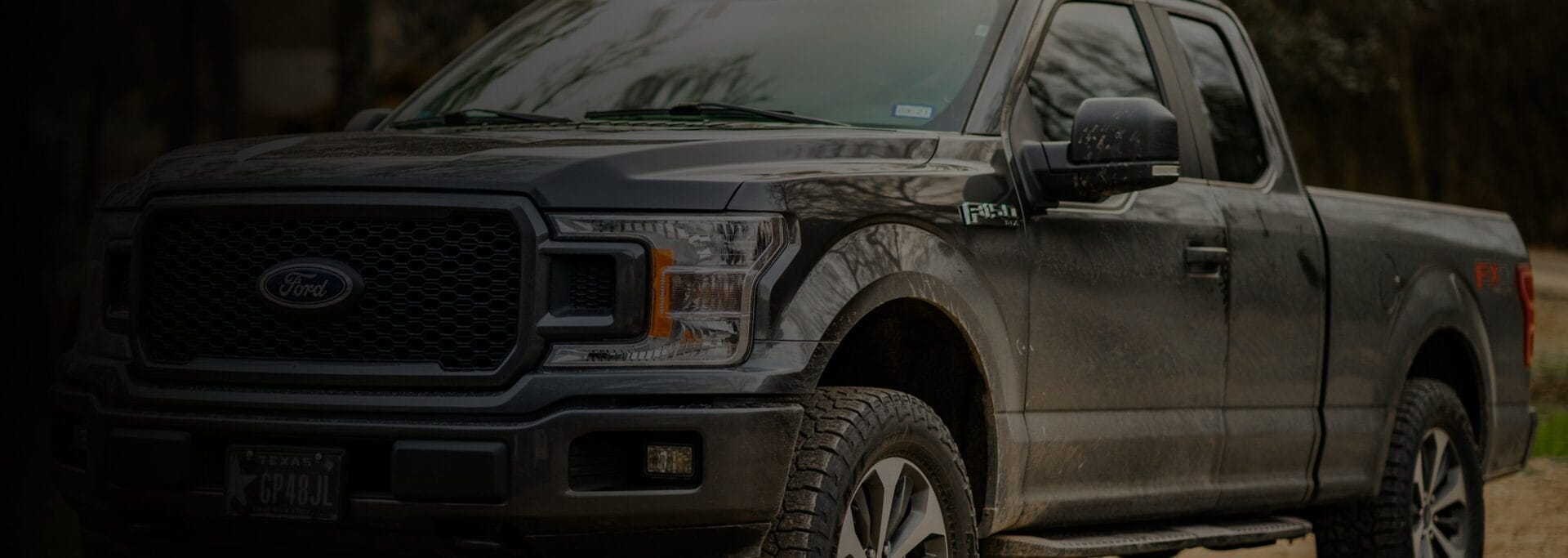 Gray Ford F-150 pickup truck parked outdoors.