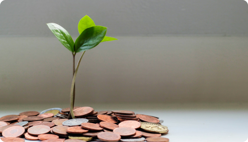 How to establish a budget.