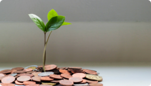 How to establish a budget. image