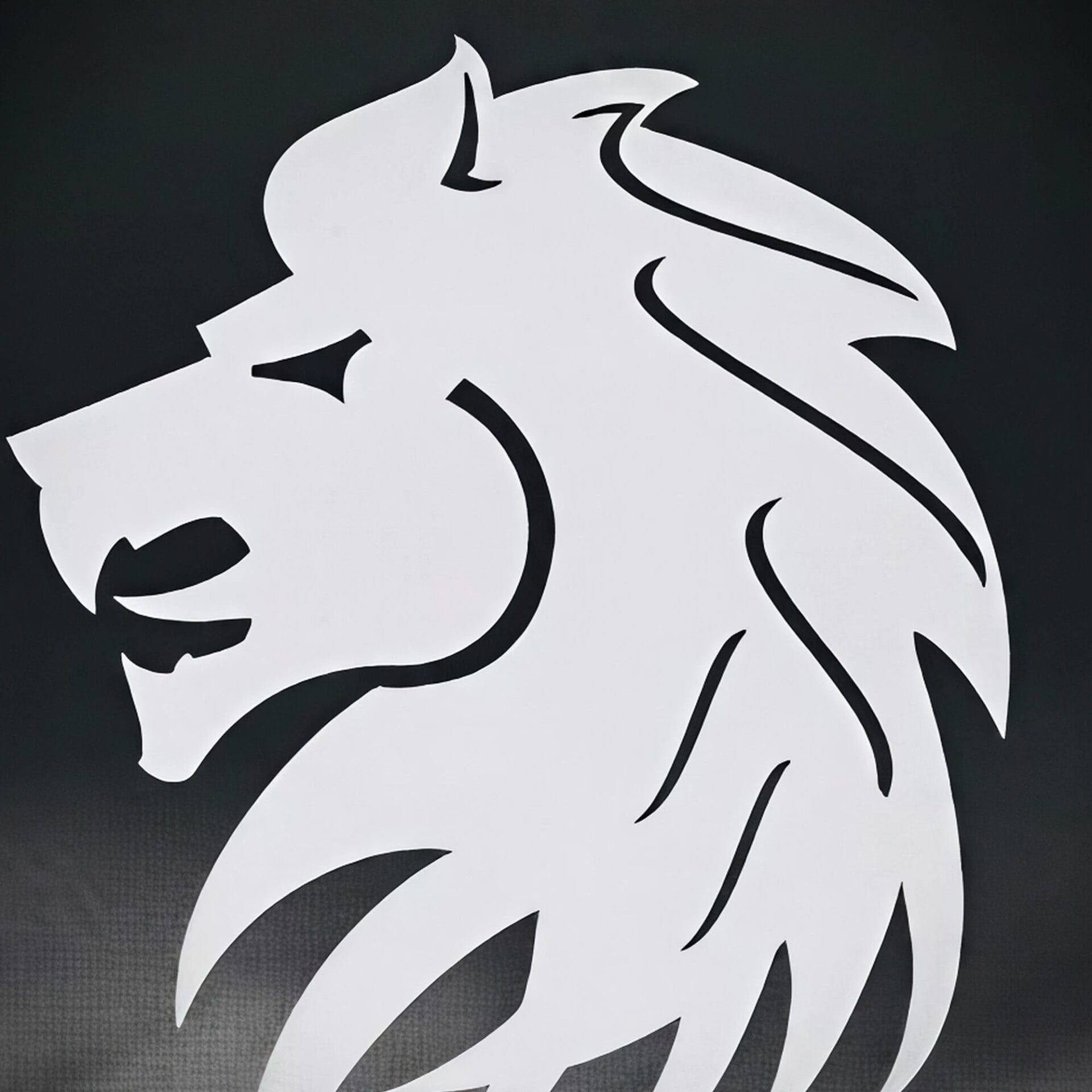 Lions Pool