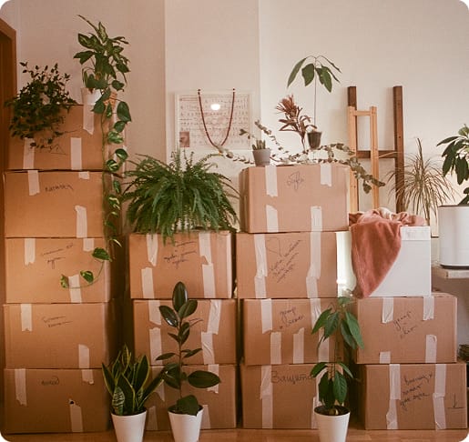 christmass gifts