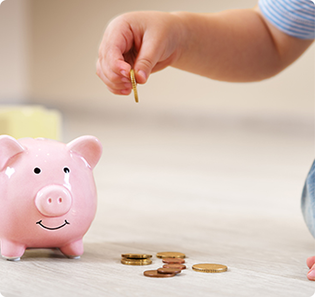piggy bank